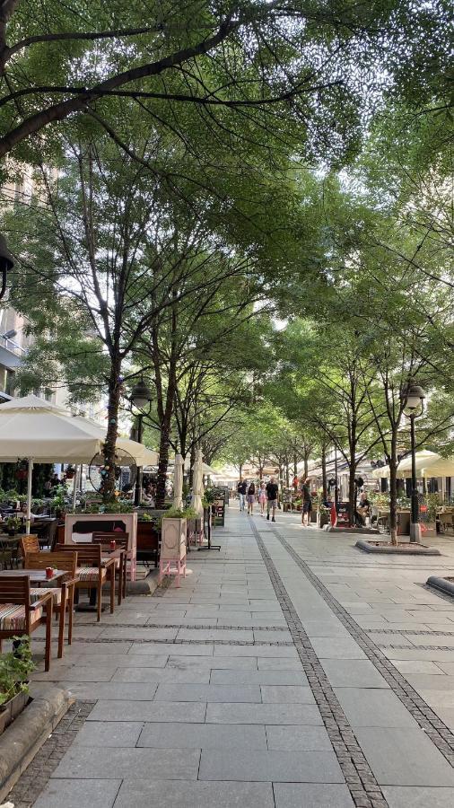 Dom Boutique Apartments - Old Town ベオグラード エクステリア 写真