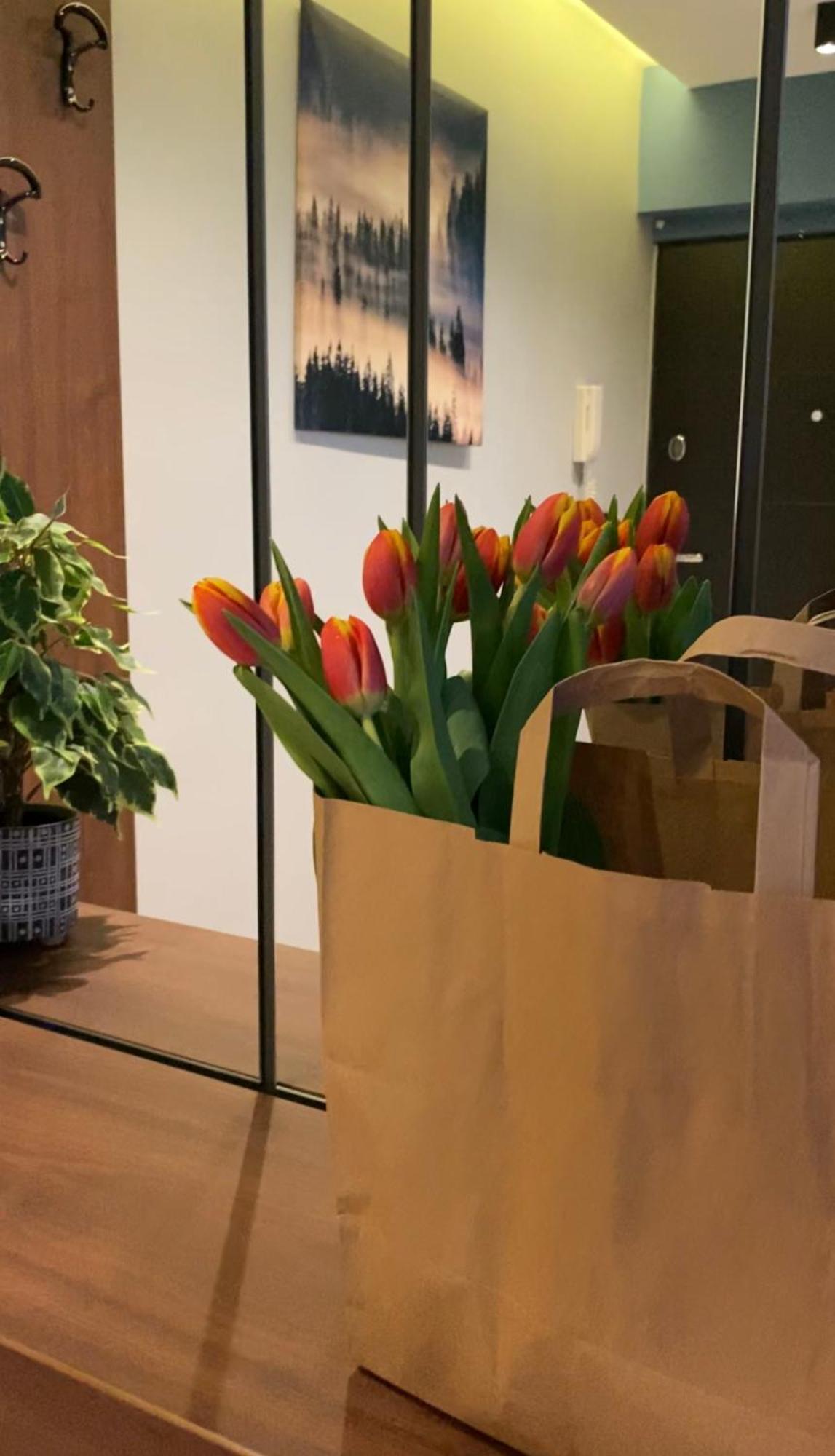Dom Boutique Apartments - Old Town ベオグラード エクステリア 写真